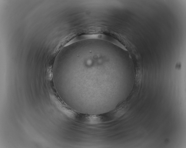 X0000113330383200909141433