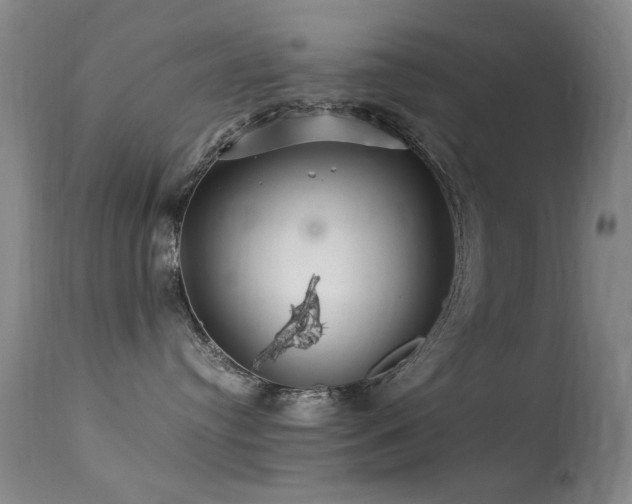 X0000113330384200909141433