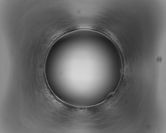 X0000113330385200909141432