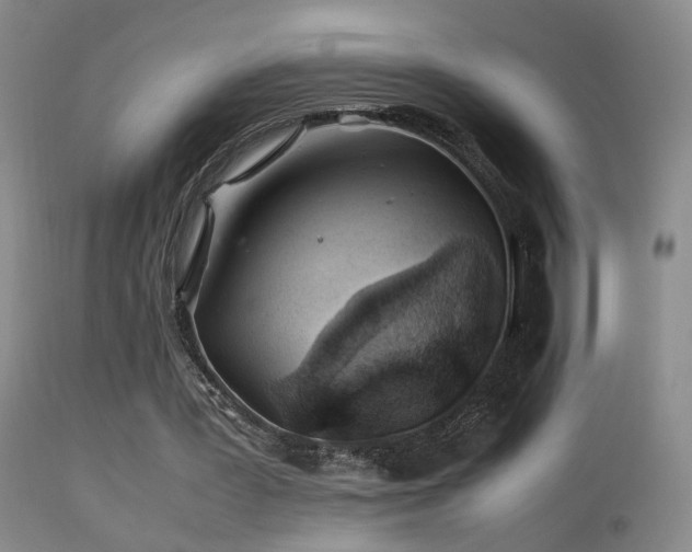 X0000113330387200909141432