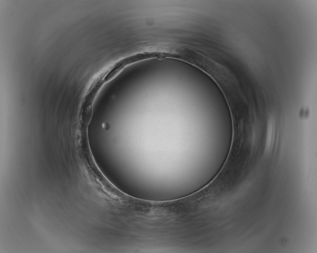 X0000113330388200909141432