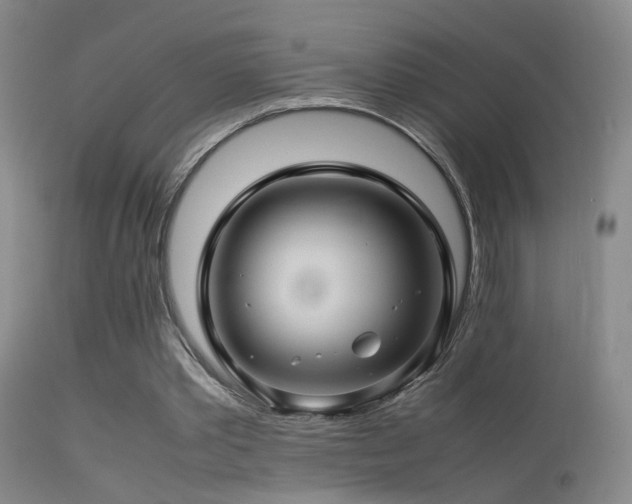 X0000113330389200909141432