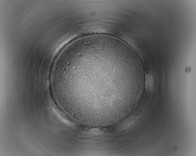 X0000113330390200909141432