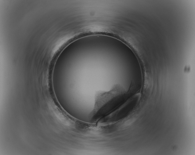 X0000113330391200909141432