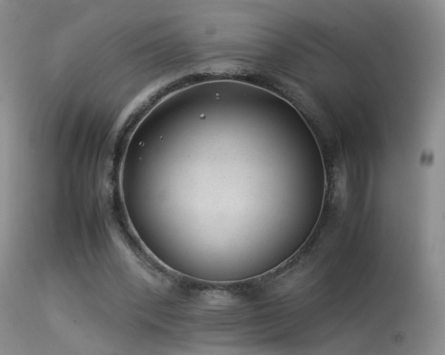 X0000113330392200909141432