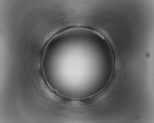 X0000113330393200909141432