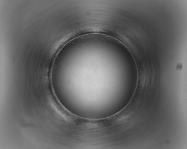 X0000113330394200909141432