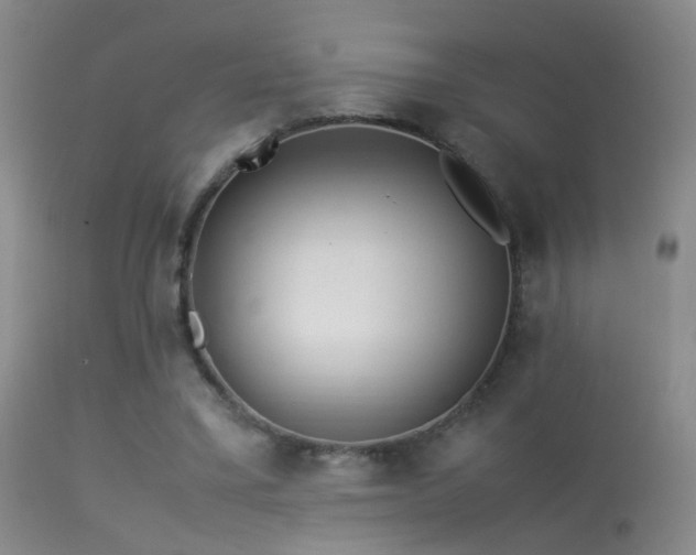 X0000113330395200909141432