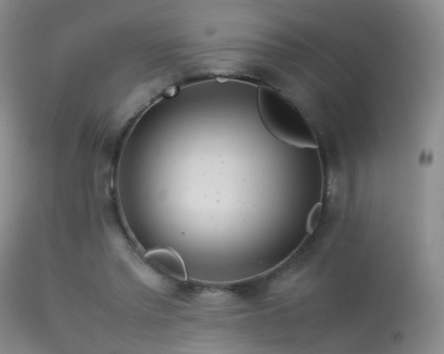X0000113330397200909141432