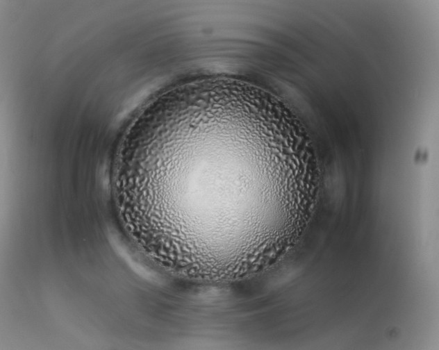 X0000113330398200909141432