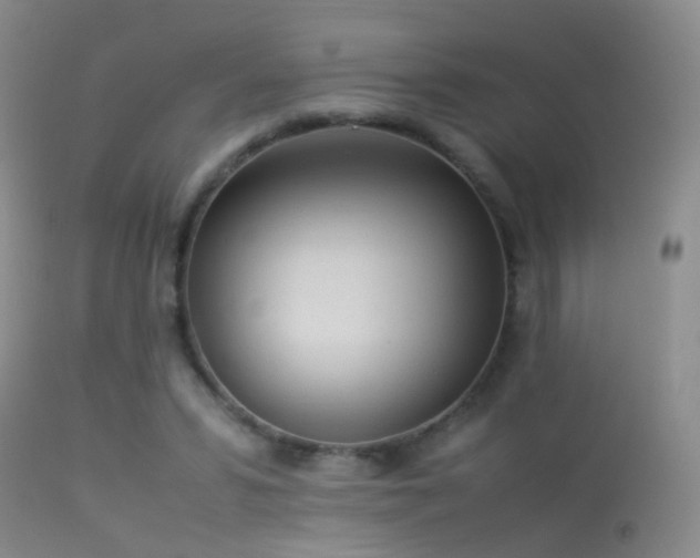 X0000113330399200909141432