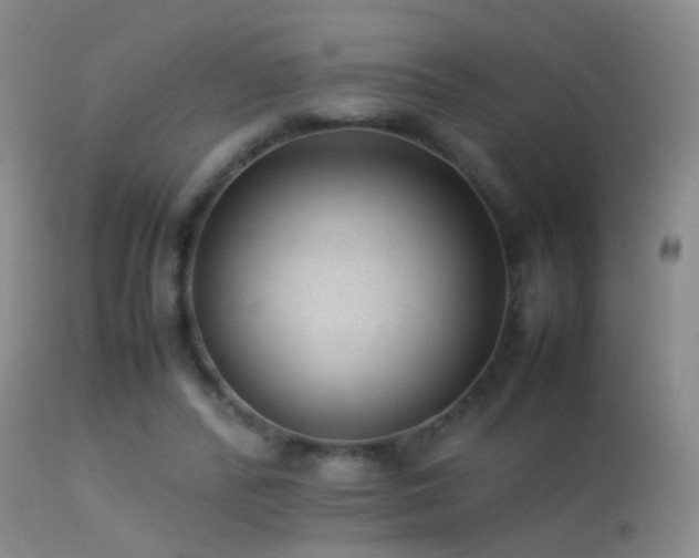 X0000113330400200909141432