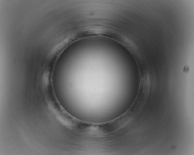 X0000113330406200909141432