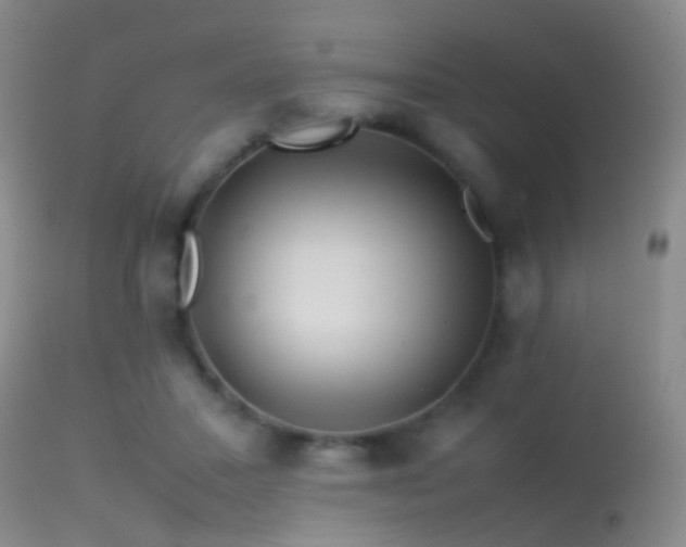 X0000113330407200909141432