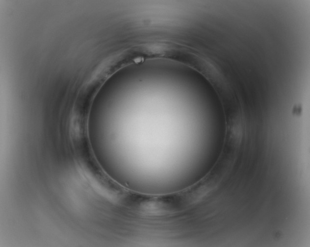 X0000113330408200909141432