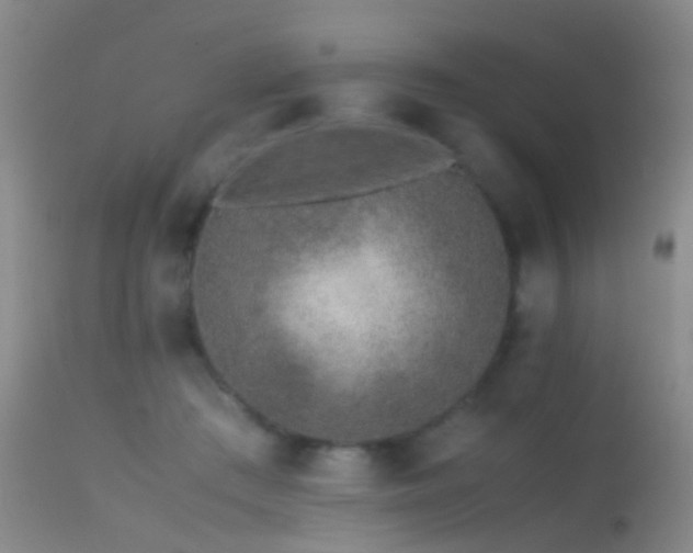 X0000113330409200909141432
