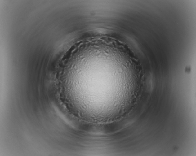 X0000113330410200909141432