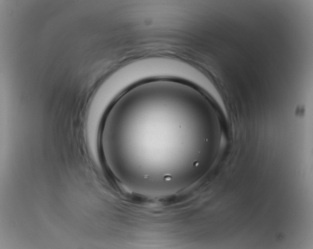 X0000113330411200909141432
