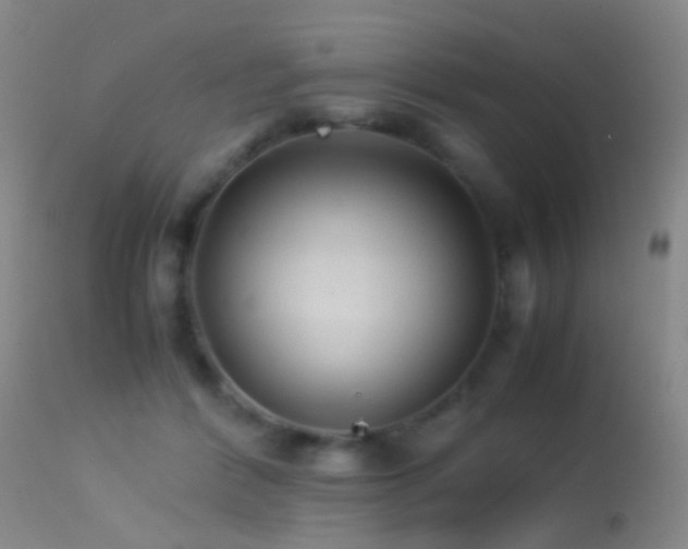 X0000113330412200909141432