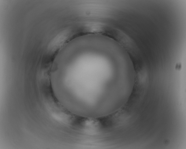 X0000113330415200909141432