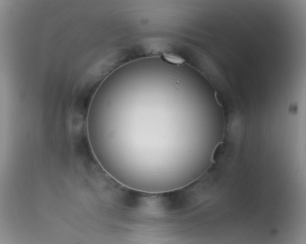 X0000113330417200909141432