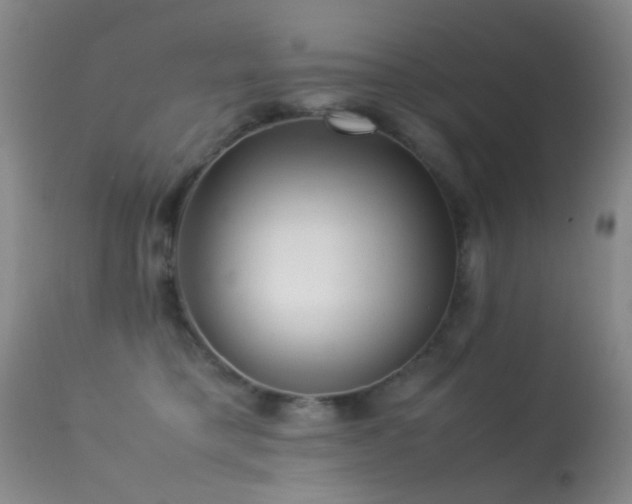 X0000113330421200909141431