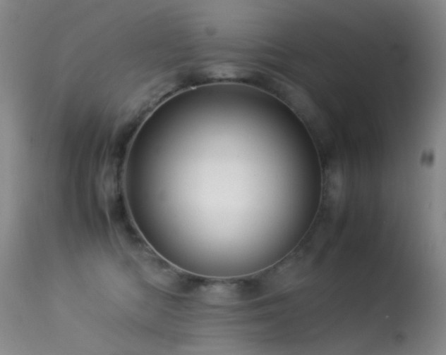 X0000113330422200909141431