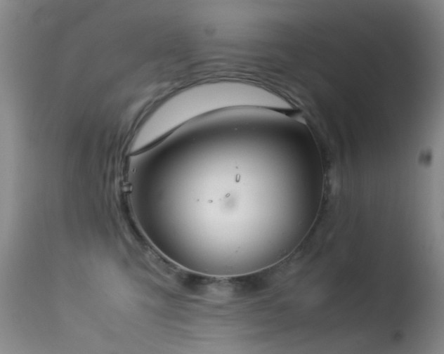 X0000113330423200909141431