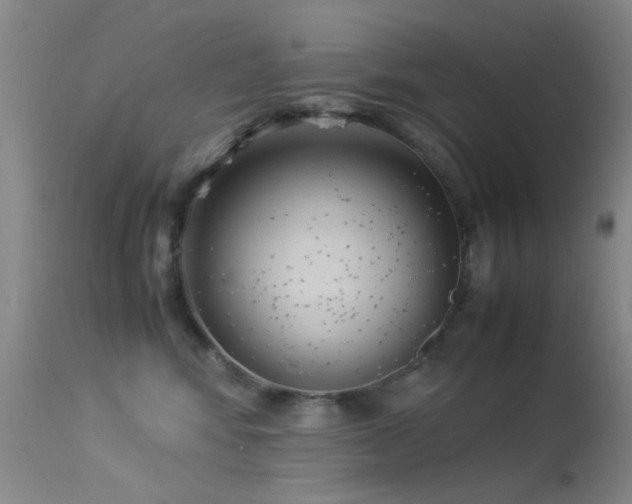 X0000113330424200909141431