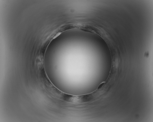 X0000113330425200909141431