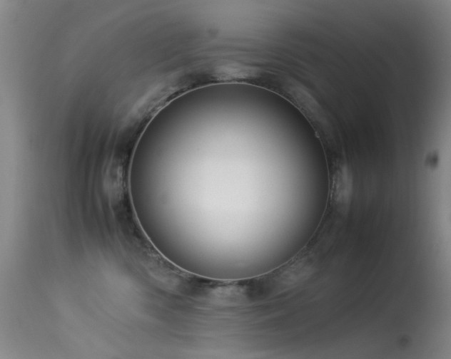 X0000113330426200909141431
