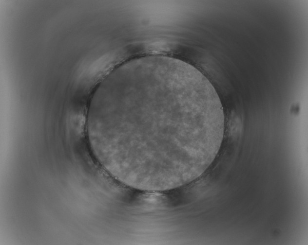 X0000113330427200909141431