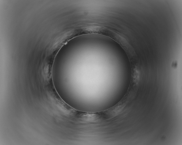 X0000113330428200909141431