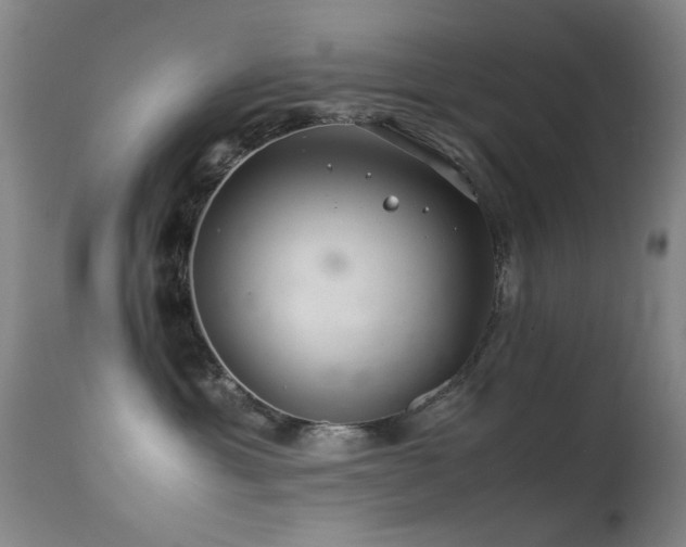 X0000113330429200909141431