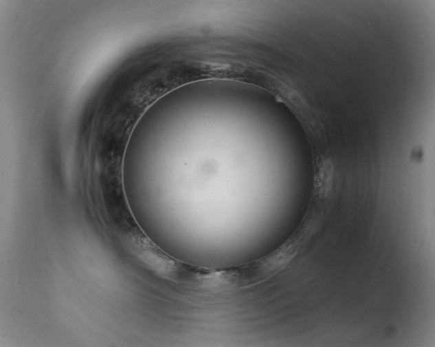X0000113330430200909141431