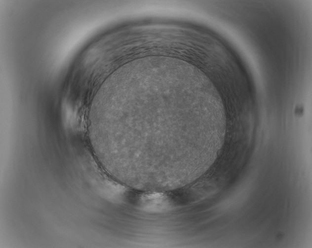 X0000113330431200909141431