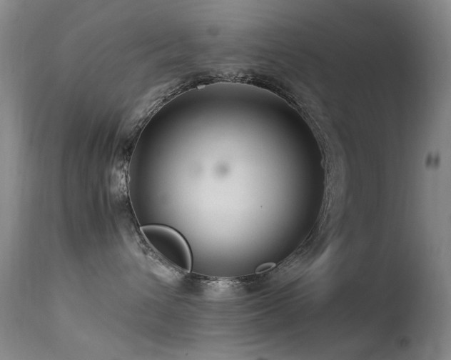 X0000113330432200909141431