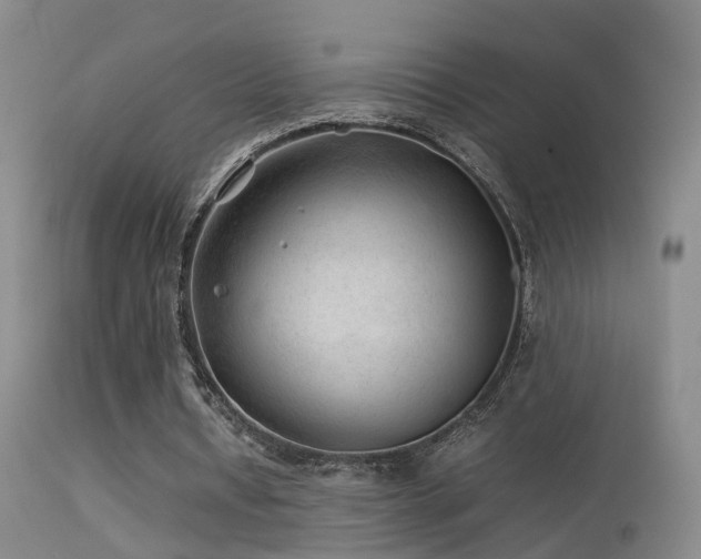 X0000113330434200909141431