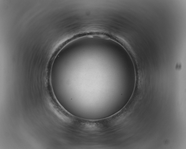 X0000113330439200909141431