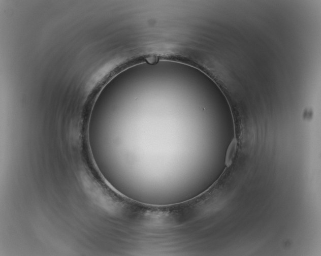 X0000113330440200909141431