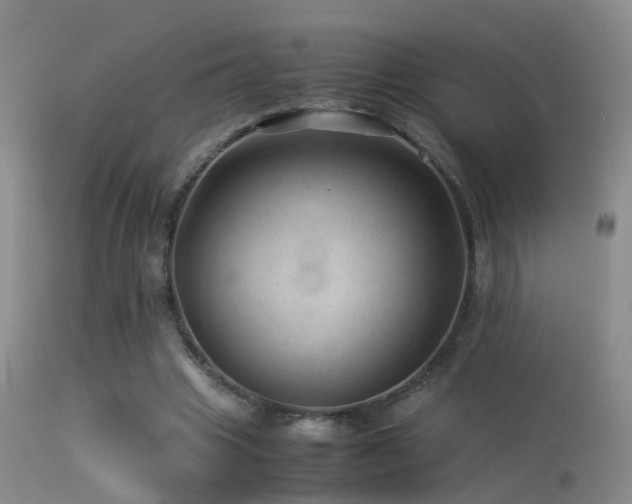 X0000113330441200909141431
