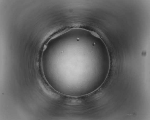 X0000113330443200909141431