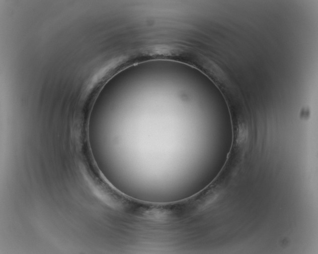 X0000113330444200909141431