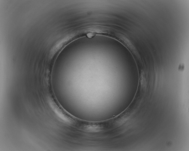 X0000113330445200909141431