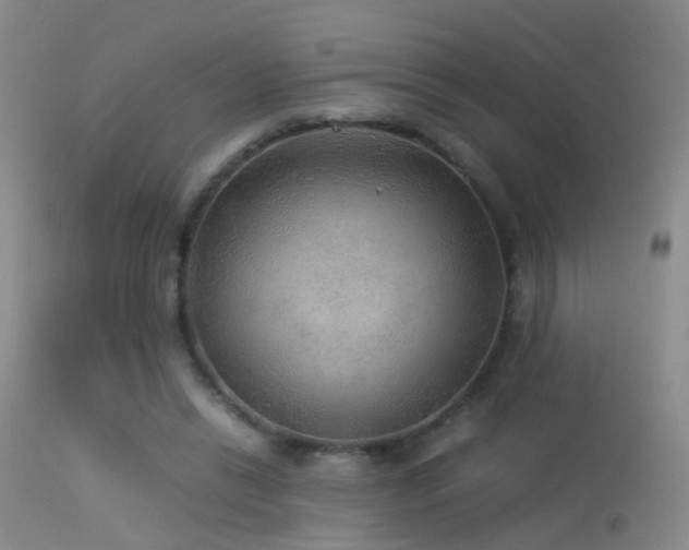 X0000113330446200909141431