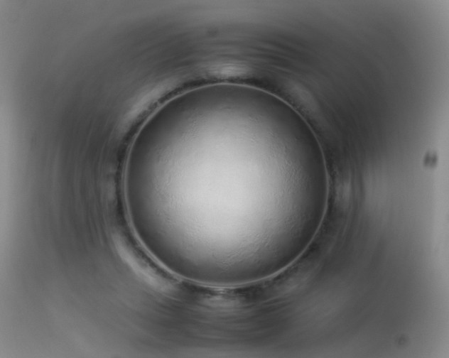X0000113330447200909141431