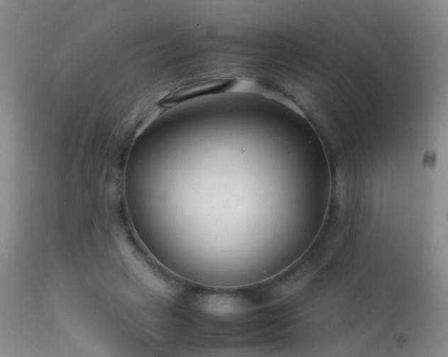 X0000113330449200909141431