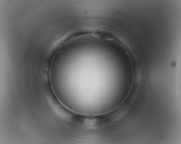 X0000113330450200909141431
