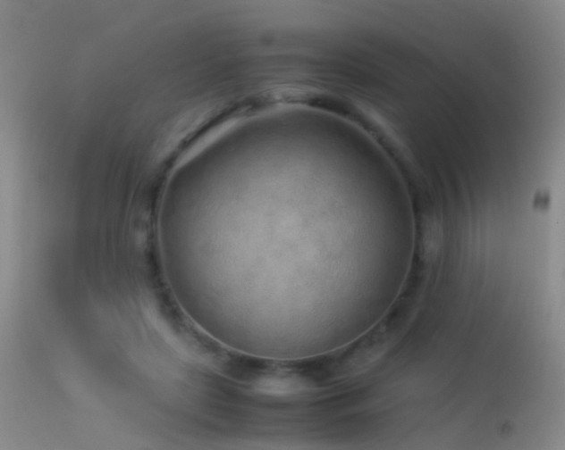 X0000113330451200909141431