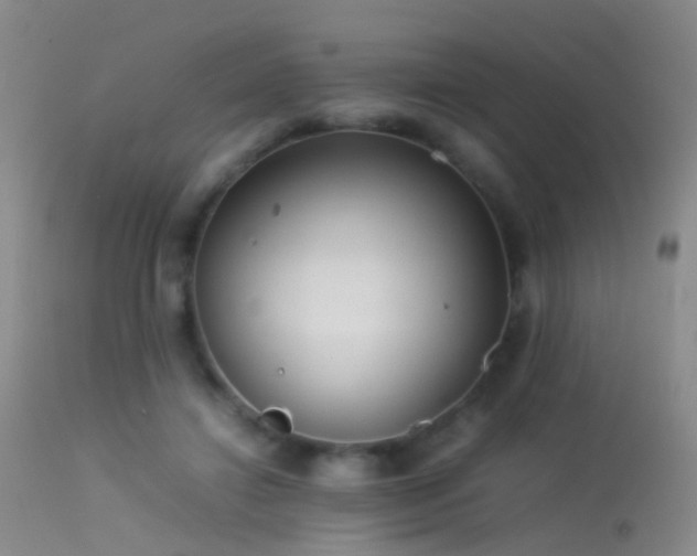 X0000113330452200909141431
